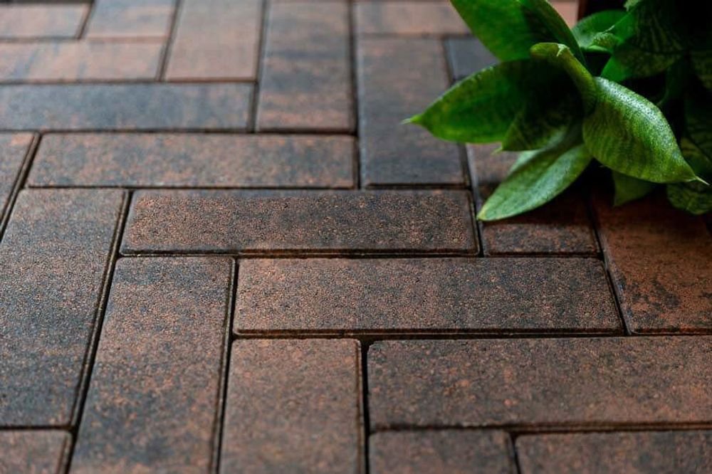 Тротуарная плитка – повний гід 2026 – види, укладання, ціни та поради тротуарная плитка